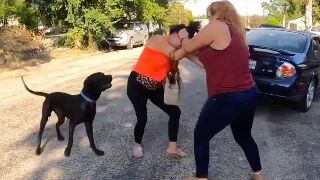 Dog tries to separate two women fighting but fails