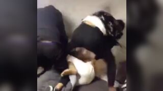 Two guys get jumped after they got caught having a threesome with one of their girls