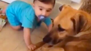 Baby gets his face bitten and torn by a dog