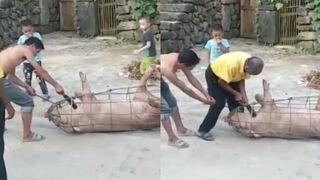 Failed slaughter of a pig in China