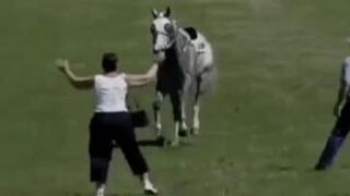 Woman attempts to stop a horse but ends up getting mowed down