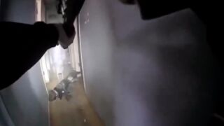 Bodycam footage released of Detroit PD officer fatally shooting two dogs and lying in the report.