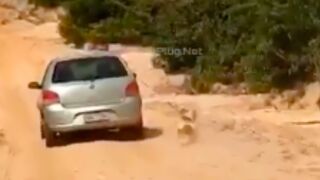 SMH: Dog gets dragged behind a car by the leash