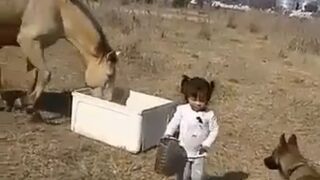 Young girl gets stomped on by a horse!