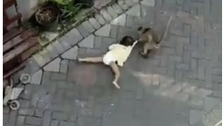 Monkey Riding A Bike Tries Kidnapping A Young Girl