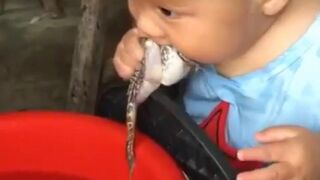 Baby in China tries to eat a frog alive! ????