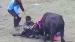Bull goes crazy and and attacks everyone ????