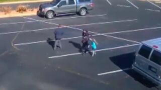 Dog comes out of nowhere and attacks a young girl!