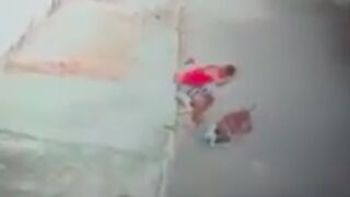 Man saves a young child from getting mauled by a pitbull!