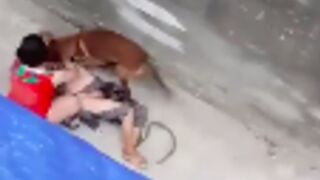 Elderly lady gets muled by a pitbull in china!