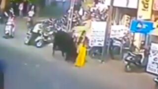 Woman gets sent flying into the air after getting hit by a cow in India
