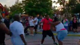 A fight was caught on video on July 6 at Mickey's Toontown at Disneyland.