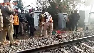 The woman was beheaded by the train
