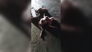 Brazilian woman cut to pieces on the street
