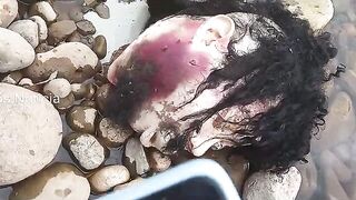 The severed head was found in the stream
