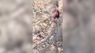 Brutally beheaded a gang member in Brazil