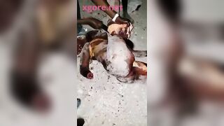 Haitian woman being butchered with machete