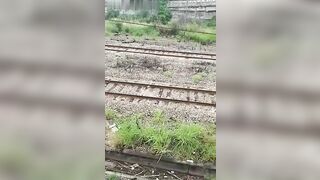 Pieces of the man's body scattered on the tracks