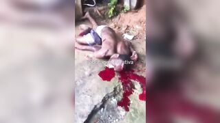 Execution video- Daily executions in brazil