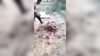 Gore video - Myanmar man is being dismembered while he is still alive