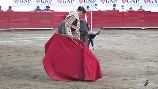 The bullfighter's penis was ravaged by the bull's horn