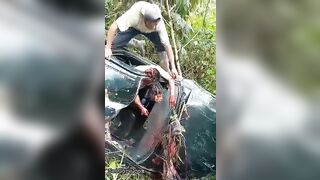 Gore video- Man was beheaded after a car accident
