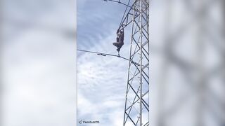 Dingbat climbs high rise and also pays out for his stupidity (dead).