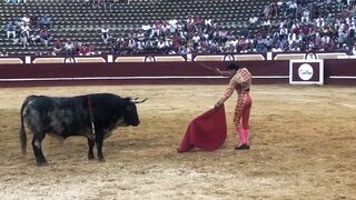 Spanish bullfighters completely attacked at festival