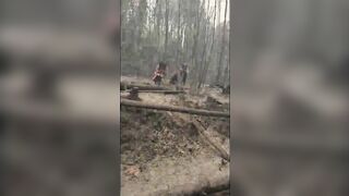 Burnt guy in a burnt rainforest uncensored videos murders, e.