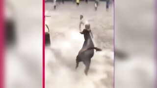 Severe bullfighting assaults in colombia