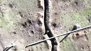 Cannon straw removed by drones