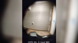 Georgia female fires female officer while reacting to a ca