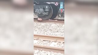 Male was yanked through train alive