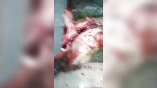 The butcher gutted the human bodye