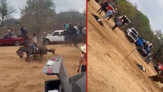 Horse kills spectator and rider during race - Culiacan, Mexico