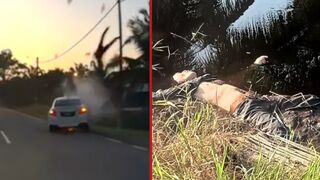 Motorcyclist was hit off his bike and launched into swamp by car attempting an overtake - Malaysia