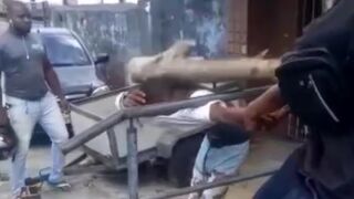 Thief is left unconscious after getting clubbed over the head with a tree branch - Brazil