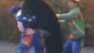 Bear Attacks Handler During Chinese Circus Performance