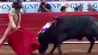 Mexican Bullfighter Gored In The Leg