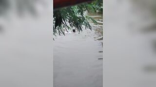 Man Drowns After A Bottle Of Cachaça