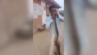 Guy tries to kiss a giant snake