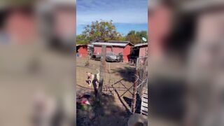 Deadly Dog Attack In Mexico