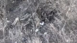 Russians shot 9 Ukrainian soldiers who surrendered near Ivanivske, Donetsk region (Bakhmut direction)