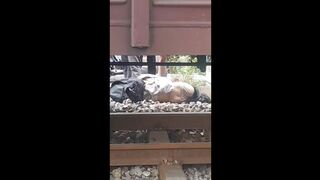 Vietnamese Woman Fails To Beat The Train