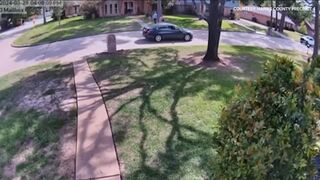 Texas lawn worker uses weed eater to go after robbery suspects