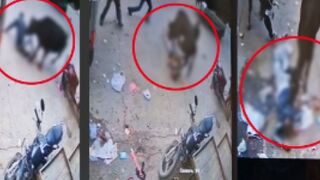 Man Stomped To Death By Stray Bull In India