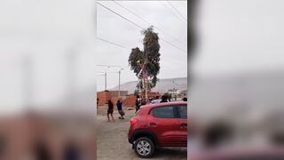 Man Setting Celebration Tree Electrocuted