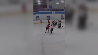 Guy Gets Beaten for Elbowing a Girl During a Hockey Game
