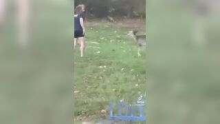 Man Gets Attacked by a Deer