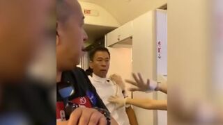 Idiots Fight Mid-Air over Window Seat